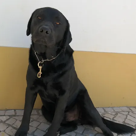 Alojamento de Acomodação e Pequeno-almoço Jema-holidays